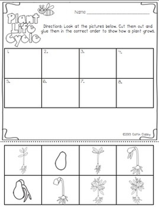 Sequencing Worksheet - The Life Cycle of a Plant for English Language